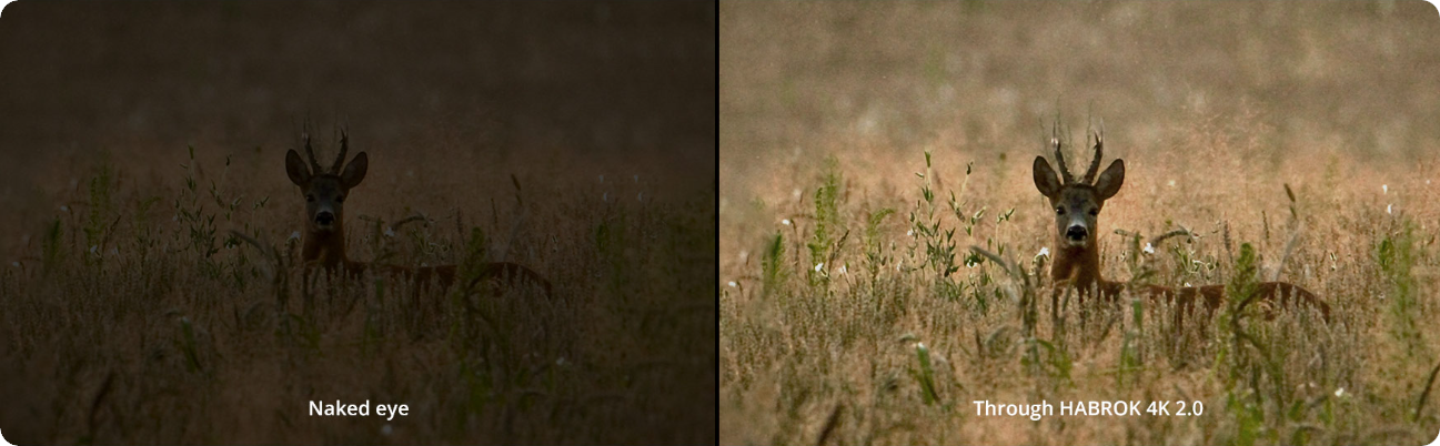 Hikmicro Habrok 4K 2.0