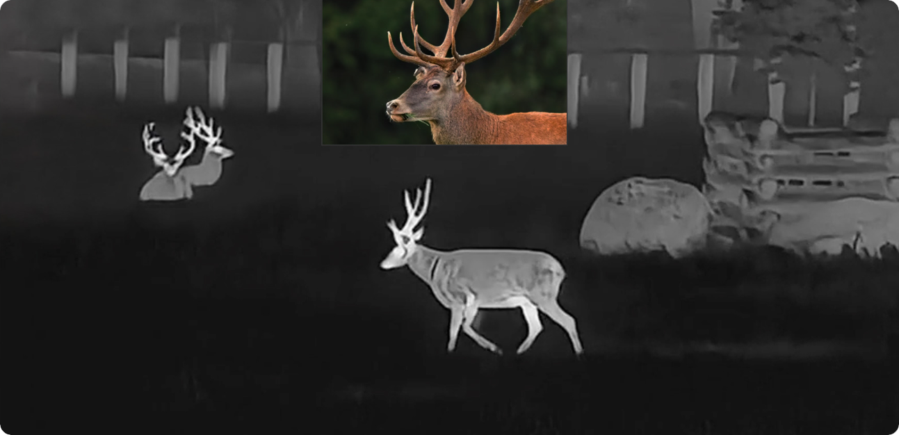 Hikmicro Habrok 4K 2.0