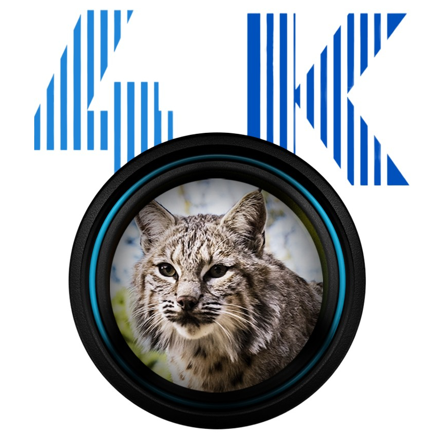 PARD Night Stalker 4K-Serie, 4K-Sensor