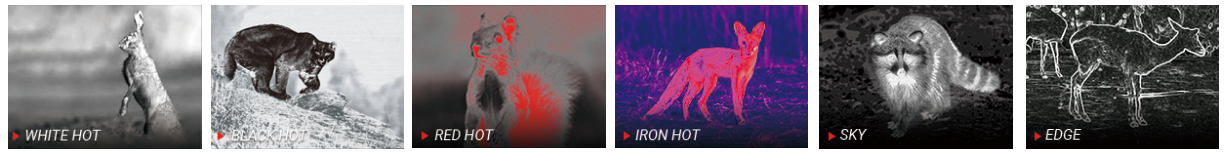 PARD termowizja, palety kolorów